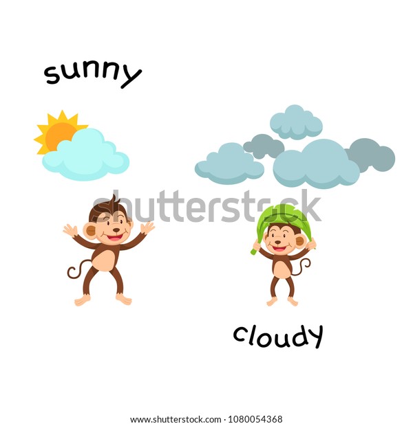 opposite-sunny-cloud-vector-illustration-stock-vector-royalty-free