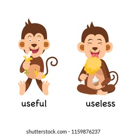 Opposite useful and useless vector illustration