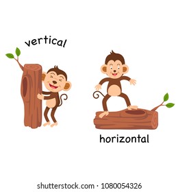 Opposite vertical and horizontal vector illustration