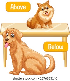 Opposite words with above and below illustration