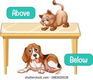 Opposite words with above and below illustration