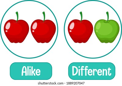 Opposite words with alike and different illustration