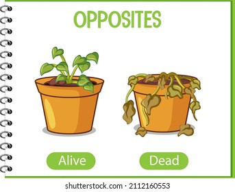 Opposite words with alive and dead illustration