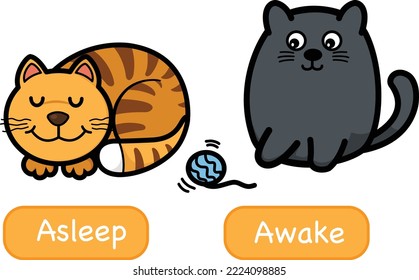 Opposite words asleep and awake vector illustration