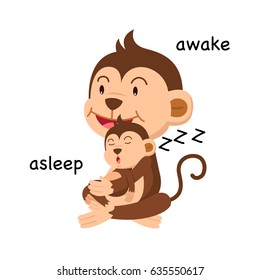 Opposite Words Asleep And Awake Vector Illustration