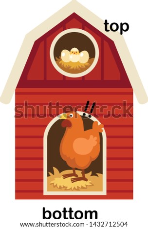 Opposite words bottom and top vector illustration