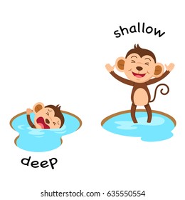 Opposite words deep and shallow vector illustration