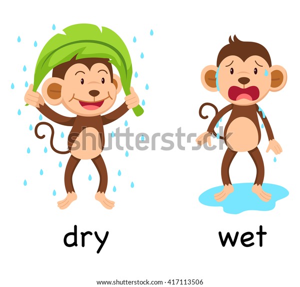 反対語のdryとwetのベクターイラスト のベクター画像素材 ロイヤリティフリー