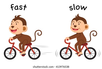 Opposite words fast and slow vector illustration