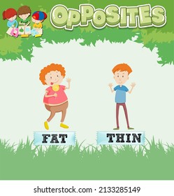 Opposite words for fat and thin  illustration