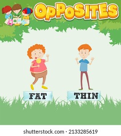 Opposite words for fat and thin  illustration