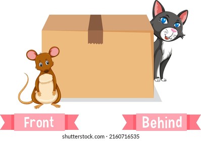 Opposite words for front and behind illustration