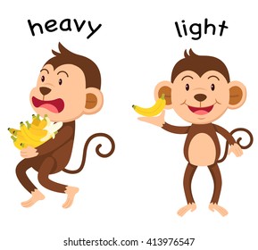 Opposite Words Heavy And Light Vector Illustration