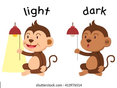 Opposite words light and dark vector illustration