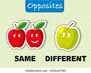 Opposite words for same and different illustration