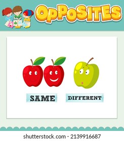 Opposite words for same and different  illustration