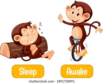 Opposite words with sleep and awake illustration