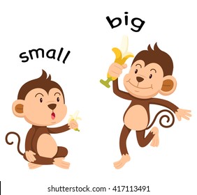 Opposite Words Small And Big Vector Illustration