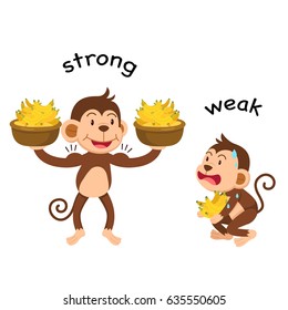 Opposite Words Strong And Weak Vector Illustration