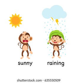 Opposite words sunny and raining vector illustration