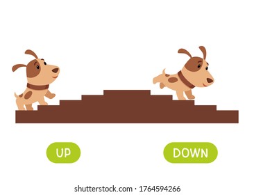 Opposites concept, UP and DOWN. Word card for language learning. Cute puppy rises up the stairs, runs down.  Flashcard with antonyms for children vector template. Flat illustration with typography.