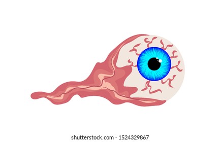 Optic eyeball, vector art illustration.