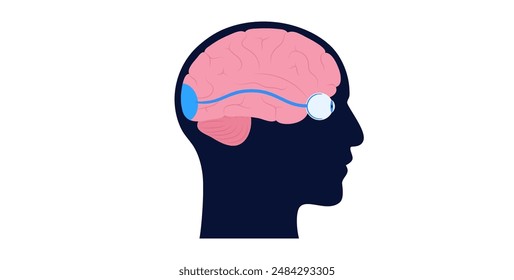 El nervio óptico del ojo humano. Enviando mensajes visuales de ojo a cerebro. Segundo nervio craneal. Tracto óptico y quiasma. Ilustración vectorial plana del tálamo, corteza visual y globos oculares