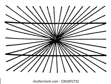 Optical Illusions is individual dedicated neural path in the early stages of visual processing, it is a interaction with active adjoining channels cause a physiological imbalance alters perception.