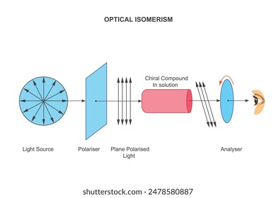 Optische Isomerie tritt auf, wenn Moleküle die gleiche Formel haben, sich aber in der räumlichen Anordnung unterscheiden, wodurch sie das planpolarisierte Licht unterschiedlich drehen. Polarimeter, wissenschaftliche Darstellung