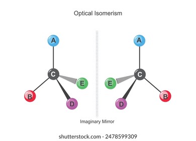 Optische Isomerie tritt auf, wenn Moleküle die gleiche Formel haben, sich aber in der räumlichen Anordnung unterscheiden, wodurch sie das planpolarisierte Licht unterschiedlich drehen. Polarimeter, wissenschaftliche Darstellung