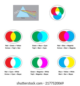 Optik, Reflektionsformen, Infografik für Lichtreflektionen mit Lichtquellen, wo die eingehenden Strahlen auf glänglänzenden Spiegelflächen für die naturwissenschaftliche Erziehung reflektiert werden