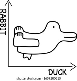 Optimal Illusion Design Rabbit or Duck
