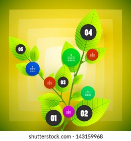 option steps vector template