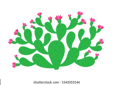 Opuntia cactus plant. Prickly pear blossom. Nopal. Indian fig opuntia shrub. Vector illustration.