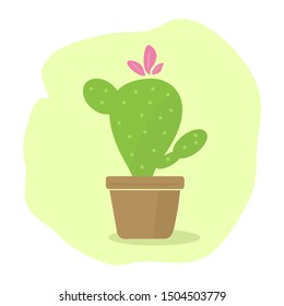 opuntia cactus in the pot