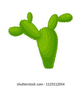 Opuntia, green prickly plant vector Illustration on a white background