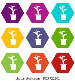 Opuntia icon set many color hexahedron isolated on white vector illustration