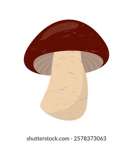 Oragnic nature plant food fungus mushroom cartoon illustration