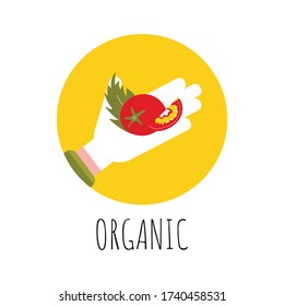 Afiche del vector de tomate oragnico. Hortalizas frescas en círculo. Alimentos saludables en granjas. Tarjeta vectorial de plantilla impresa 