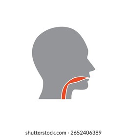 Ícone de cor da cavidade oral, faringe e esôfago. Seção superior do canal alimentar. Ilustração isolada de vetor