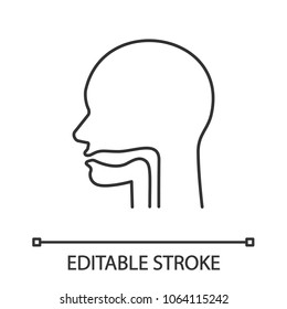 Oral cavity, pharynx and esophagus linear icon. Thin line illustration. Upper section of alimentary canal. Contour symbol. Vector isolated outline drawing. Editable stroke