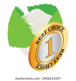 Oral hygiene icon isometric vector. Leaf around human tooth and best choice sign. Dentistry, healthcare concept