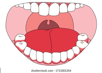 Oral pictures and white backgrounds