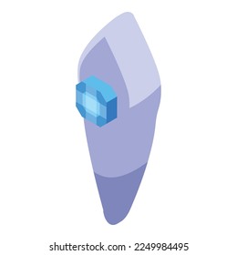 Oral teeth gemstone icon isometric vector. Dental tooth. Clean care