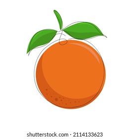 Orang fruit. Oranges that are segmented on a white background.