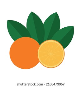 Orang fruit. Oranges that are segmented on a white background.