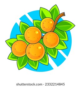 Orang fruit. Oranges that are segmented on a white background.