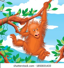 orang utan - indonesian animal (kalimatan) using vector format 