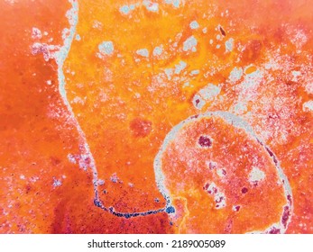 Orange Abstract Pattern. Alcohol Ink Paint. Liquid Grain Illustration. Red Abstract Watercolor. Acrylic Ink Background. Yellow Grain Space. Dirty Acrylic Splash. Hot Modern Science.  Abstract Orange