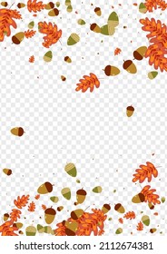 Orange Acorn Background Transparent Vector. Leaf Simple Set. Golden Foliage. School Design. Gold Plant Backdrop.